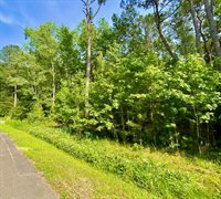 6301 Buttonbush Drive, Ravenel, SC 29470