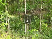 6301 Buttonbush Drive, Ravenel, SC 29470