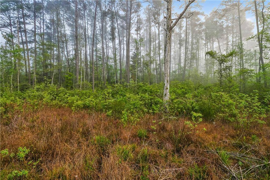 27125 Lakeview Drive, Holden, LA 70744