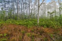 27125 Lakeview Drive, Holden, LA 70744