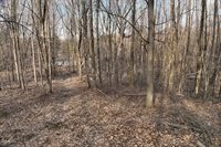 8.24 Acres RIDGE ROAD, Neillsville, WI 54456