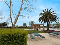 618 Poplar Ct, Oakley, CA 94561