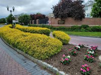 13 Mcmartin Ct, JC, West Bergen, NJ 07305