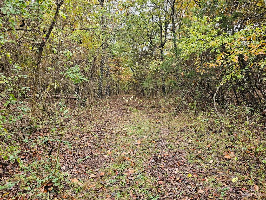 Tbd, Brown Lane, MO 65567