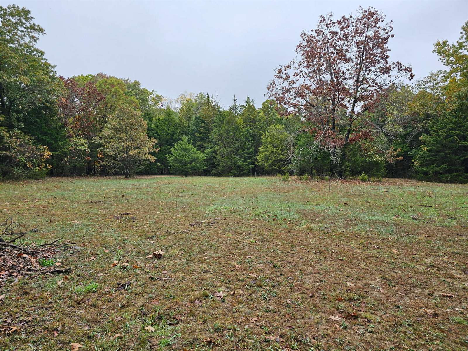 Tbd, Brown Lane, MO 65567