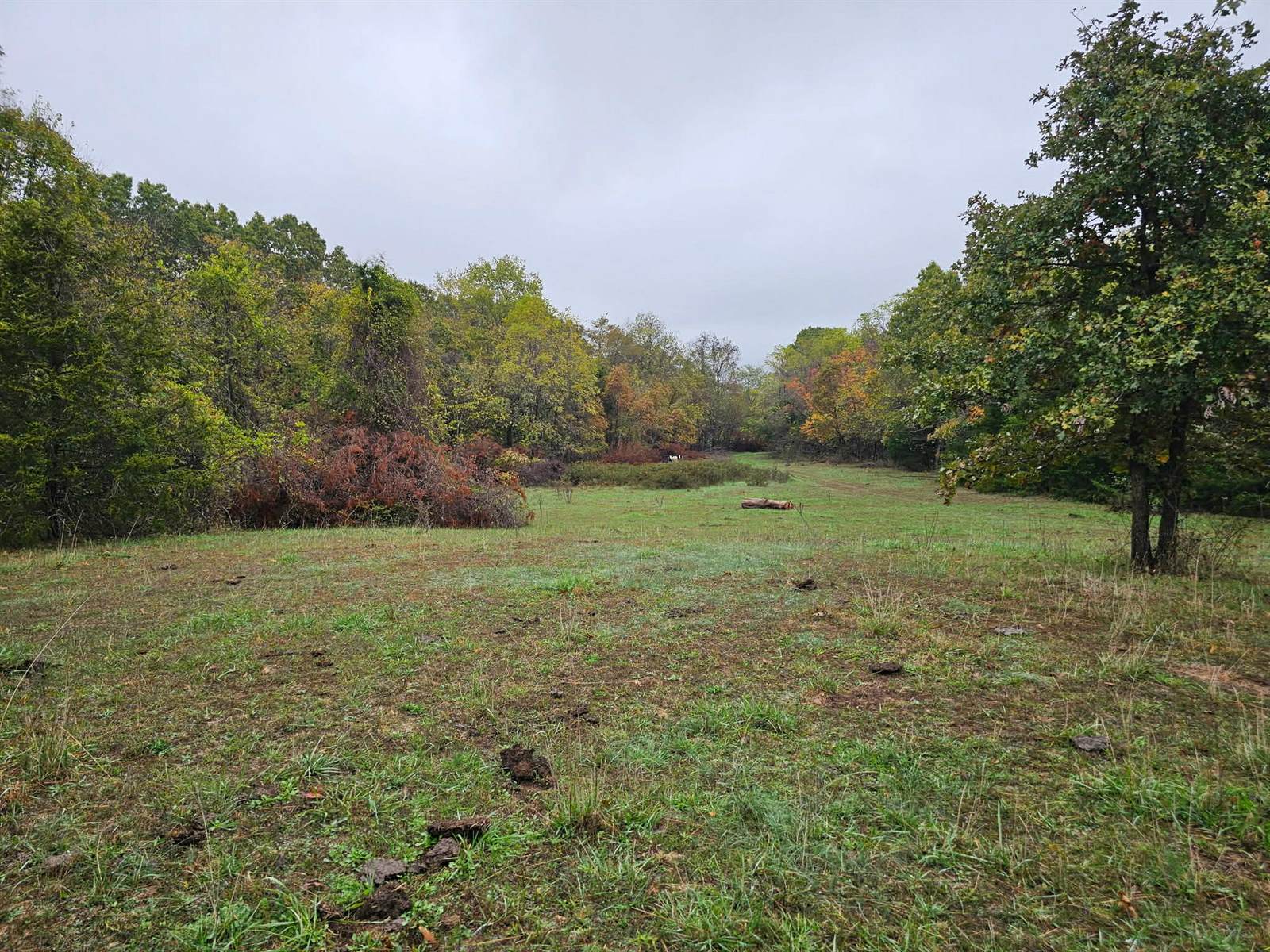 Tbd, Brown Lane, MO 65567