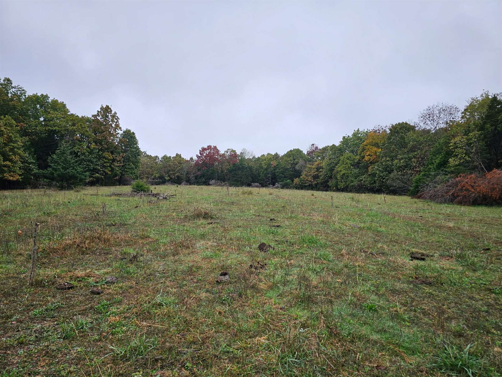 Tbd, Brown Lane, MO 65567