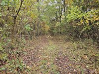 Tbd, Brown Lane, MO 65567