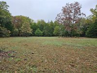 Tbd, Brown Lane, MO 65567