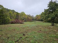 Tbd, Brown Lane, MO 65567