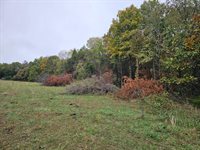 Tbd, Brown Lane, MO 65567