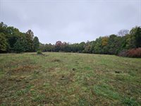 Tbd, Brown Lane, MO 65567