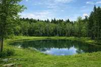 TBD Moosehead Isle Road, Greenville, ME 04441