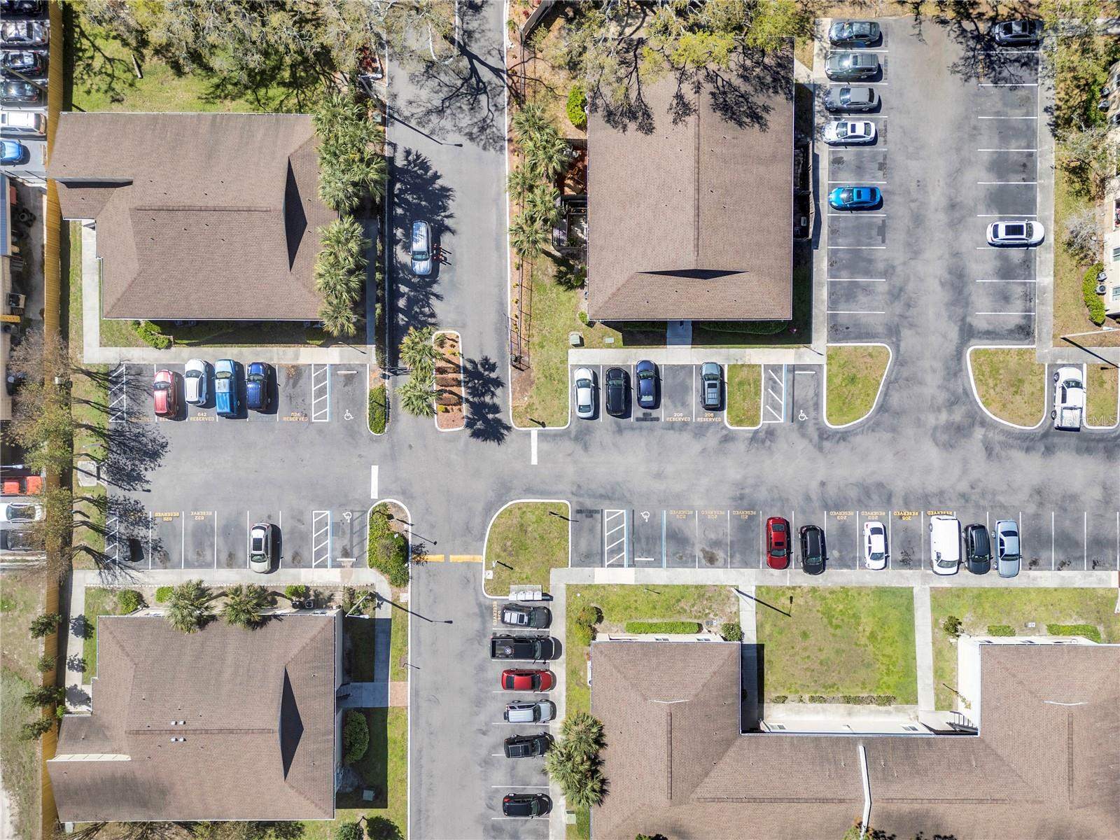 209 Red Cedar Place, #209, Brandon, FL 33510