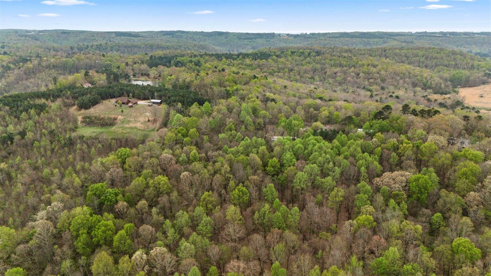 0 Pleasant View Rd, Falkville, AL 35622
