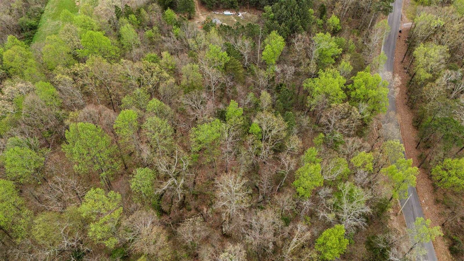 0 Pleasant View Rd, Falkville, AL 35622