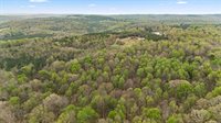 0 Pleasant View Rd, Falkville, AL 35622