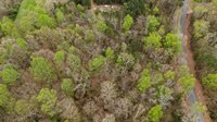 0 Pleasant View Rd, Falkville, AL 35622