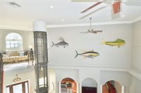 Listing Photo 47