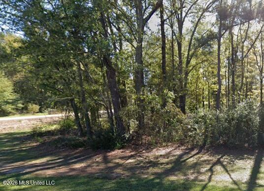 Mississippi 18, Brandon, MS 39042