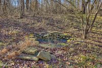 10961 Moose Drive, Neosho, MO 64850