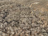 10961 Moose Drive, Neosho, MO 64850