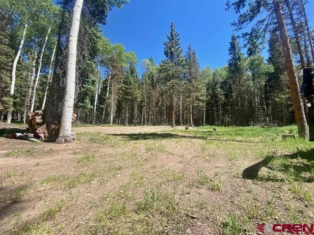 1772 Spruce Road, Cimarron, CO 81220