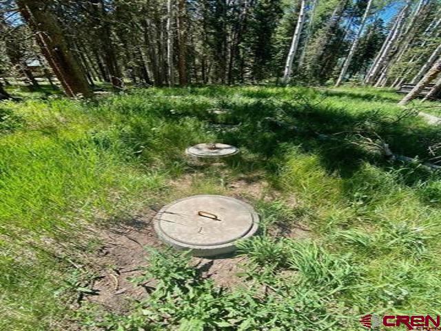 1772 Spruce Road, Cimarron, CO 81220