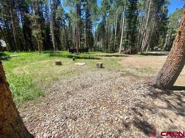 1772 Spruce Road, Cimarron, CO 81220