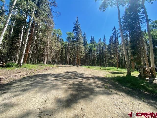 1772 Spruce Road, Cimarron, CO 81220