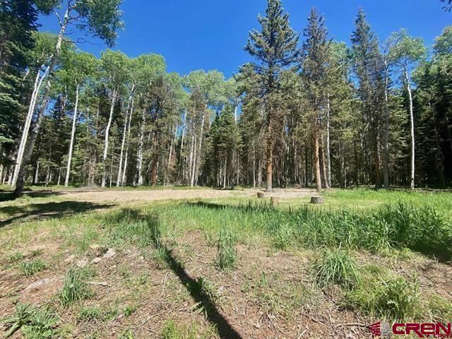 1772 Spruce Road, Cimarron, CO 81220