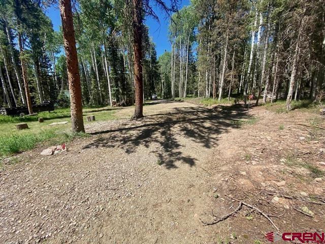 1772 Spruce Road, Cimarron, CO 81220