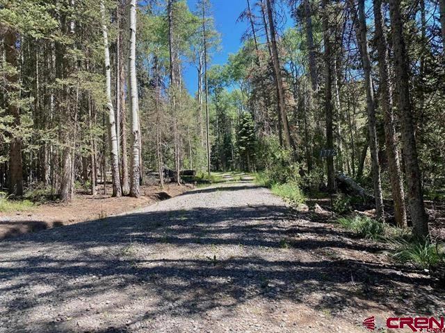 1772 Spruce Road, Cimarron, CO 81220