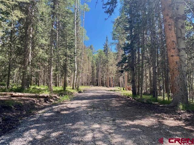 1772 Spruce Road, Cimarron, CO 81220