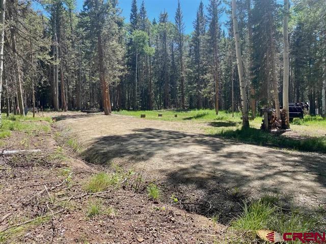 1772 Spruce Road, Cimarron, CO 81220