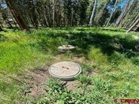 1772 Spruce Road, Cimarron, CO 81220