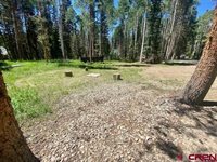 1772 Spruce Road, Cimarron, CO 81220