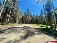 1772 Spruce Road, Cimarron, CO 81220