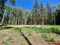 1772 Spruce Road, Cimarron, CO 81220