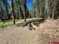 1772 Spruce Road, Cimarron, CO 81220