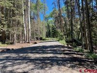 1772 Spruce Road, Cimarron, CO 81220