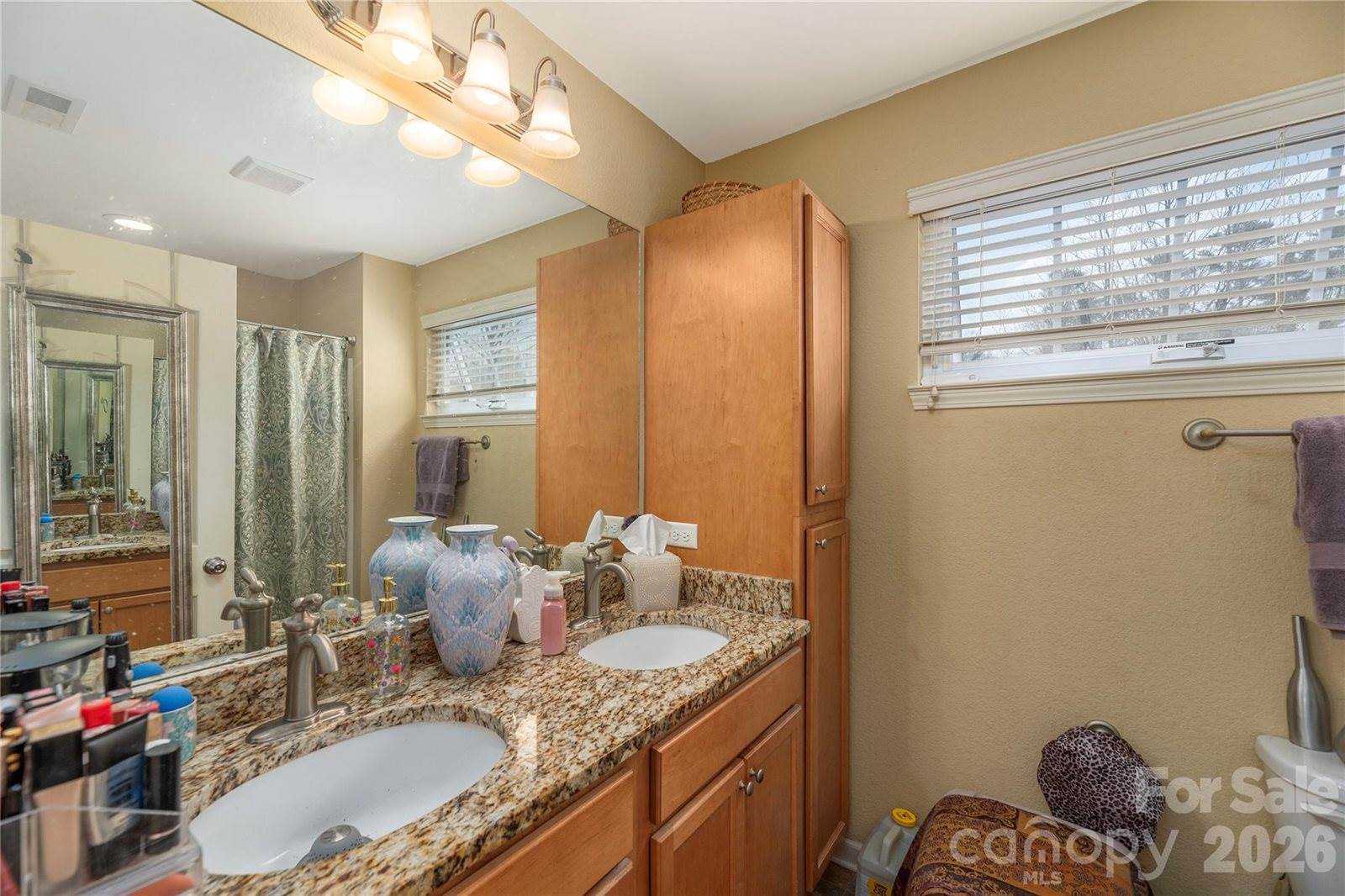 22 Barnett Shoals Drive, Weaverville, NC 28787