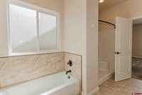 1336 Fivemile Creek Avenue, Montrose, CO 81401