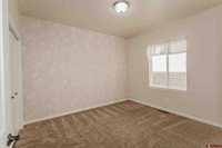 1336 Fivemile Creek Avenue, Montrose, CO 81401