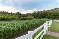 33 Hampton Meadows, Hampton, NH 03842