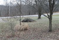 344 Parker Rd, Buffalo Township, PA 16055