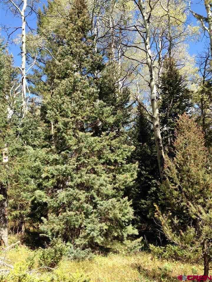 200 Crest Drive, Cimarron, CO 81220