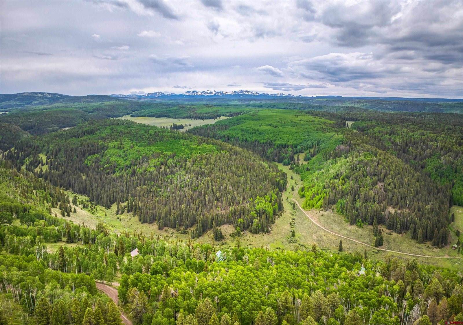 200 Crest Drive, Cimarron, CO 81220