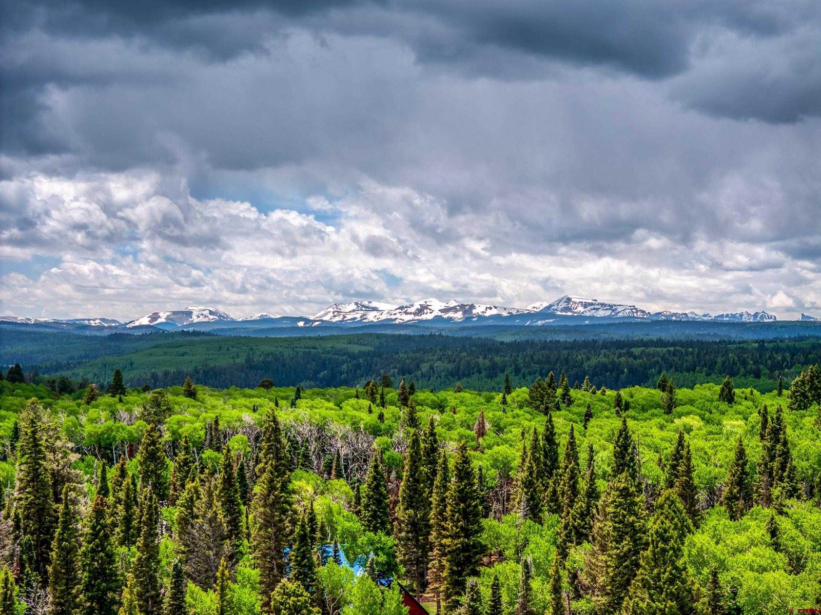 200 Crest Drive, Cimarron, CO 81220