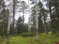 200 Crest Drive, Cimarron, CO 81220